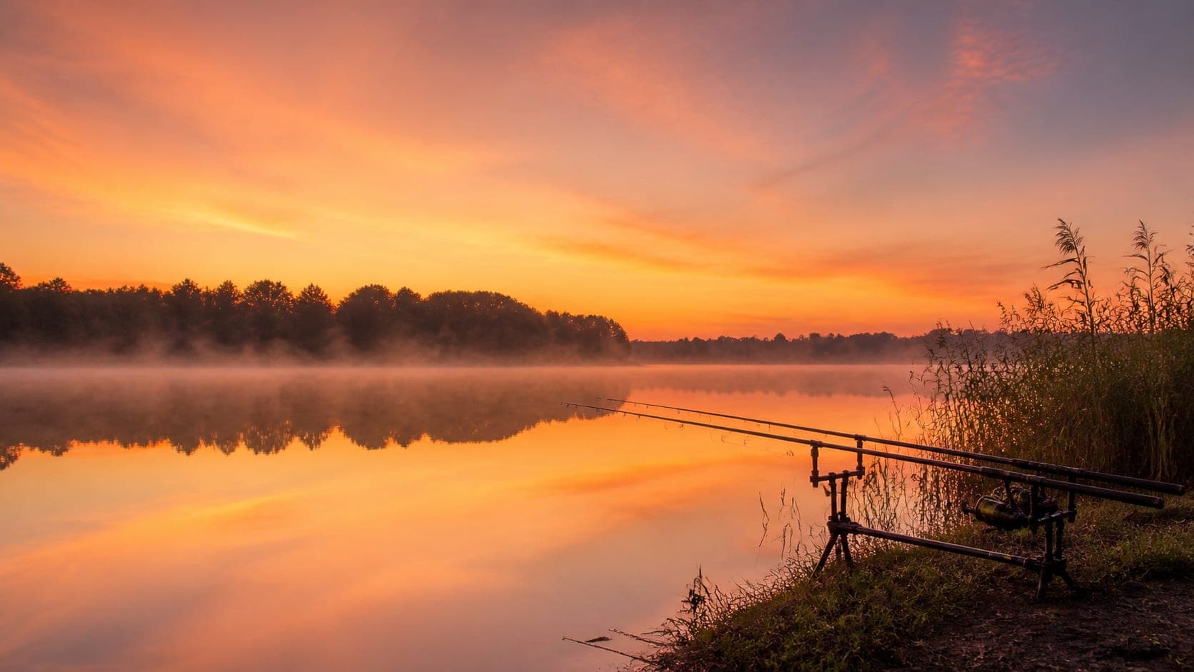 Świt nad jeziorem, wędki karpiowe na rod-podzie, mgła nad wodą